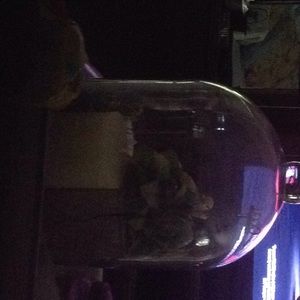 Meet your Posher, Virginia